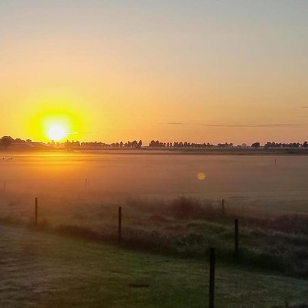 Vila Tureluur Tjerkgaast Exteriér fotografie